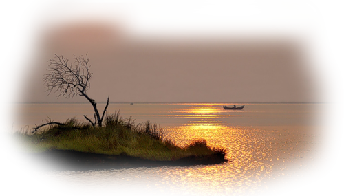 ana sayfa foto